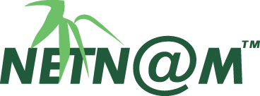 Logo Netnam